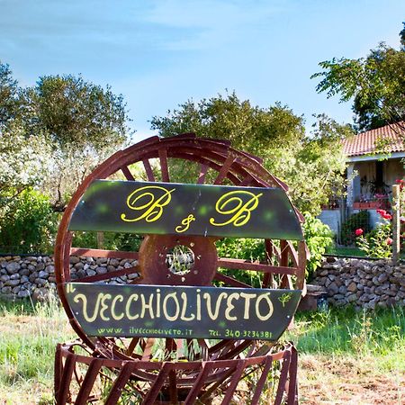 Il Vecchioliveto Di Ornella Bed and Breakfast Marrùbiu Εξωτερικό φωτογραφία