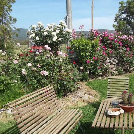 Il Vecchioliveto Di Ornella Bed and Breakfast Marrùbiu Δωμάτιο φωτογραφία