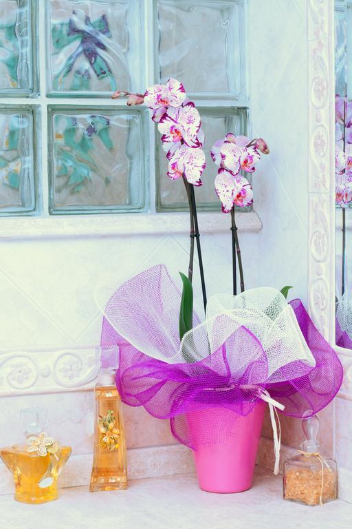 Il Vecchioliveto Di Ornella Bed and Breakfast Marrùbiu Δωμάτιο φωτογραφία