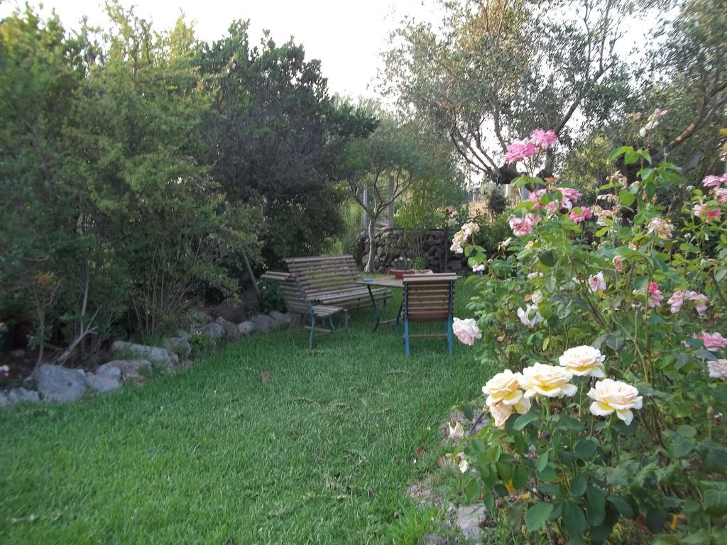 Il Vecchioliveto Di Ornella Bed and Breakfast Marrùbiu Δωμάτιο φωτογραφία