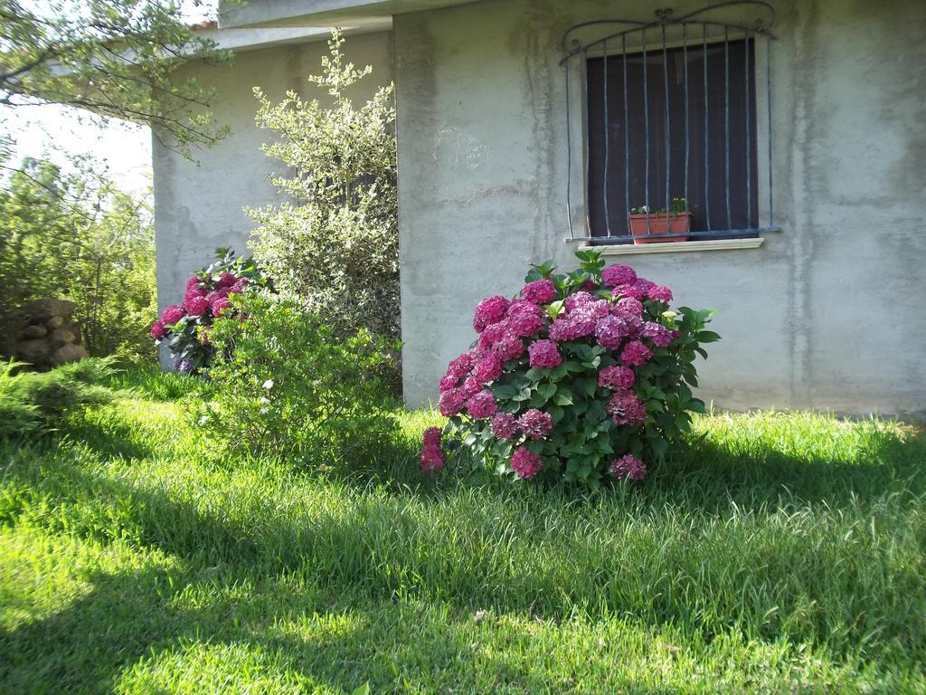 Il Vecchioliveto Di Ornella Bed and Breakfast Marrùbiu Εξωτερικό φωτογραφία
