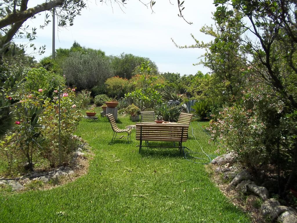 Il Vecchioliveto Di Ornella Bed and Breakfast Marrùbiu Δωμάτιο φωτογραφία