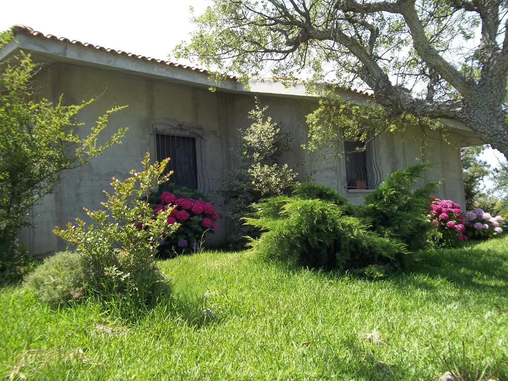 Il Vecchioliveto Di Ornella Bed and Breakfast Marrùbiu Δωμάτιο φωτογραφία