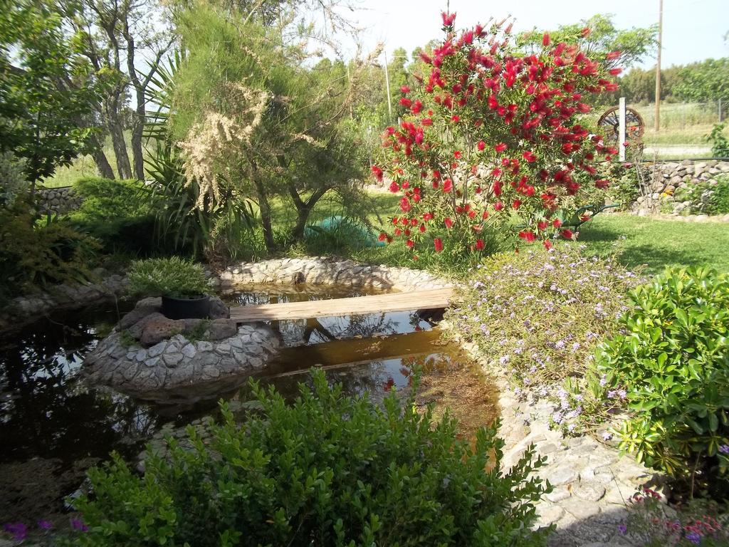 Il Vecchioliveto Di Ornella Bed and Breakfast Marrùbiu Δωμάτιο φωτογραφία