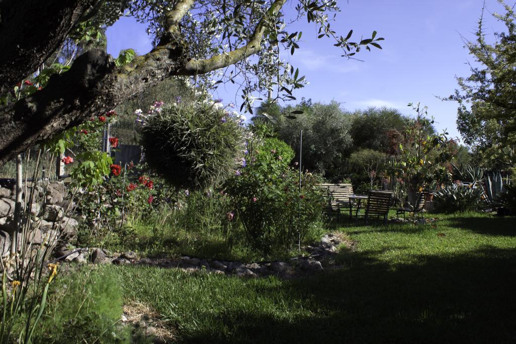 Il Vecchioliveto Di Ornella Bed and Breakfast Marrùbiu Εξωτερικό φωτογραφία