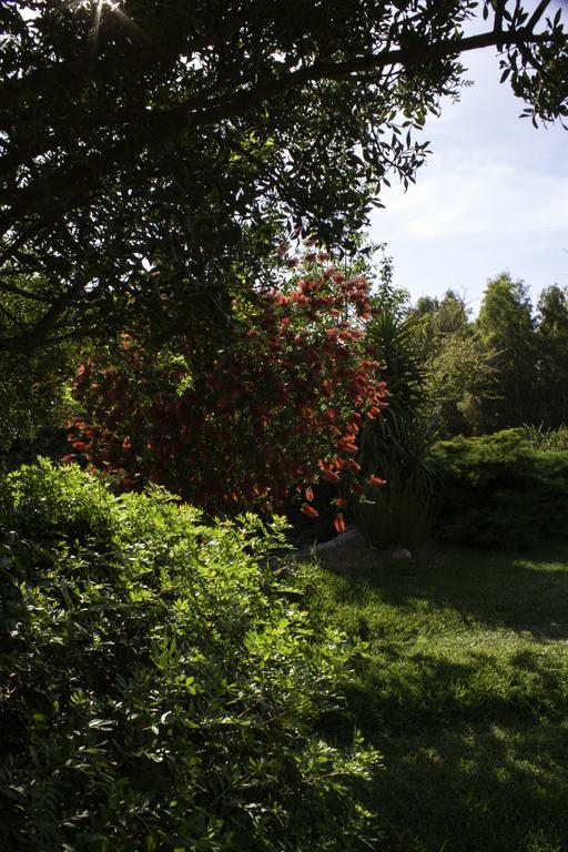 Il Vecchioliveto Di Ornella Bed and Breakfast Marrùbiu Εξωτερικό φωτογραφία