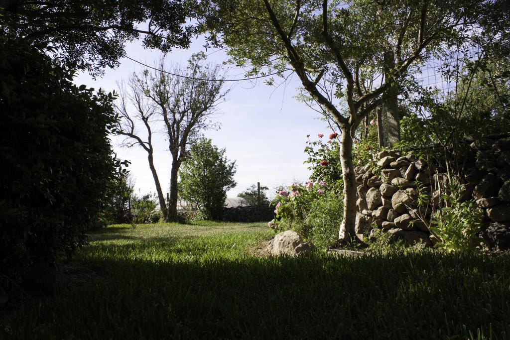 Il Vecchioliveto Di Ornella Bed and Breakfast Marrùbiu Εξωτερικό φωτογραφία