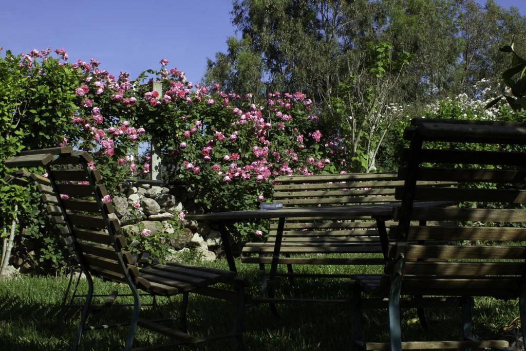 Il Vecchioliveto Di Ornella Bed and Breakfast Marrùbiu Εξωτερικό φωτογραφία