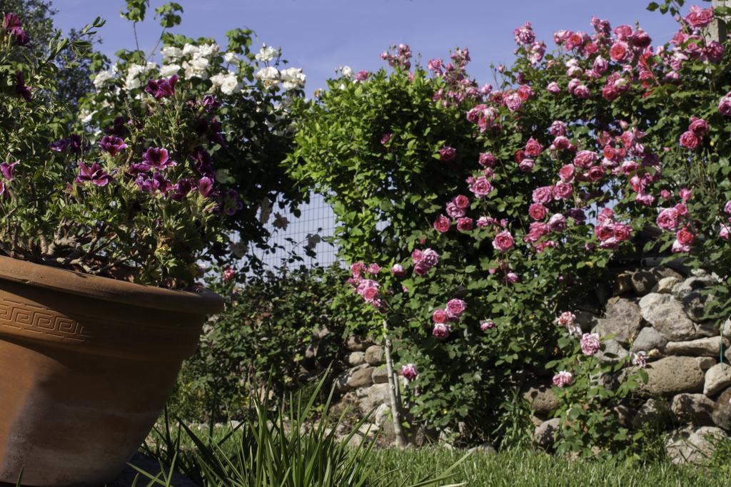 Il Vecchioliveto Di Ornella Bed and Breakfast Marrùbiu Εξωτερικό φωτογραφία