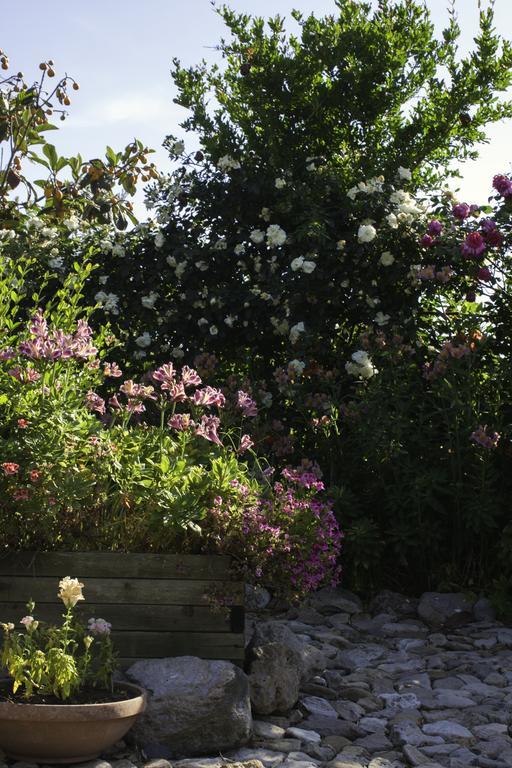 Il Vecchioliveto Di Ornella Bed and Breakfast Marrùbiu Εξωτερικό φωτογραφία