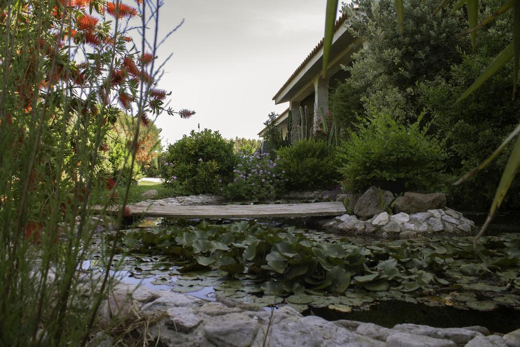Il Vecchioliveto Di Ornella Bed and Breakfast Marrùbiu Εξωτερικό φωτογραφία