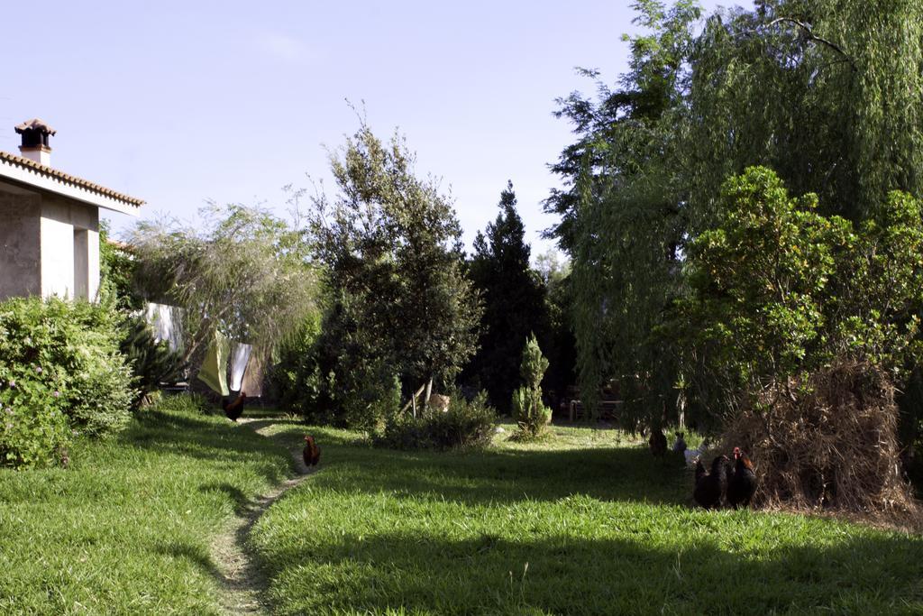 Il Vecchioliveto Di Ornella Bed and Breakfast Marrùbiu Εξωτερικό φωτογραφία