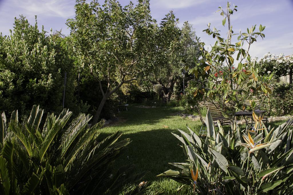 Il Vecchioliveto Di Ornella Bed and Breakfast Marrùbiu Εξωτερικό φωτογραφία