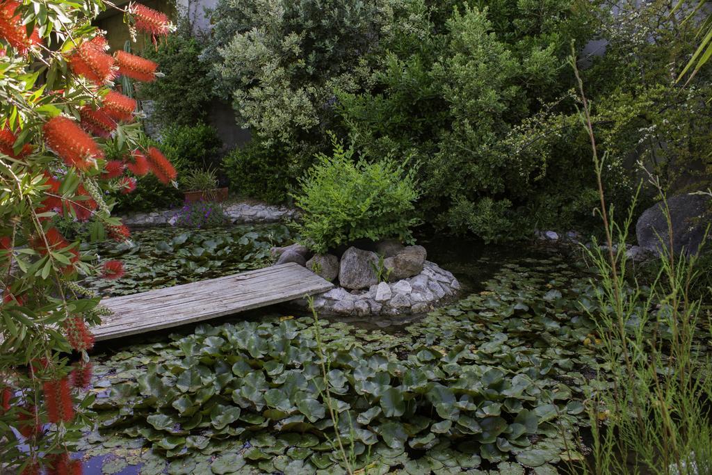 Il Vecchioliveto Di Ornella Bed and Breakfast Marrùbiu Εξωτερικό φωτογραφία