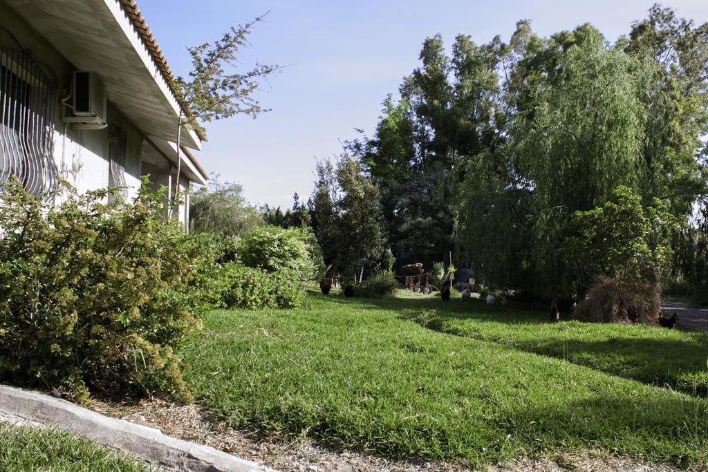 Il Vecchioliveto Di Ornella Bed and Breakfast Marrùbiu Εξωτερικό φωτογραφία
