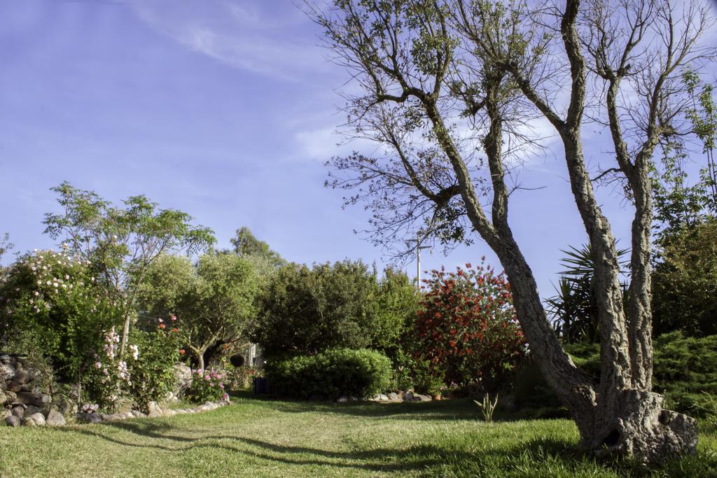 Il Vecchioliveto Di Ornella Bed and Breakfast Marrùbiu Εξωτερικό φωτογραφία