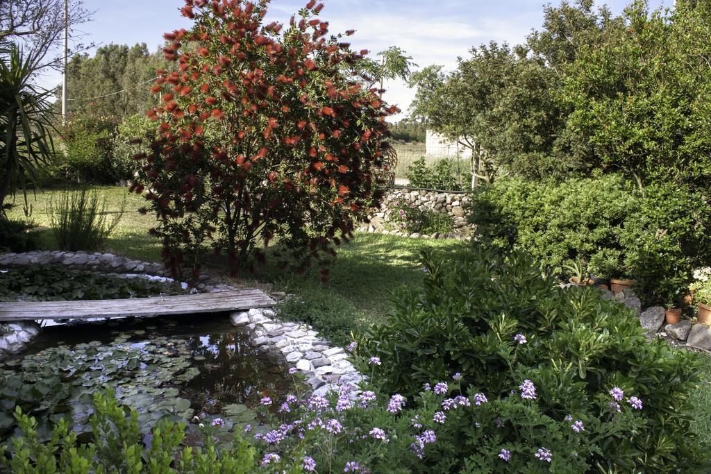 Il Vecchioliveto Di Ornella Bed and Breakfast Marrùbiu Εξωτερικό φωτογραφία