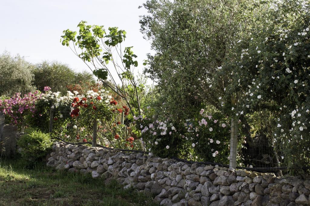 Il Vecchioliveto Di Ornella Bed and Breakfast Marrùbiu Εξωτερικό φωτογραφία
