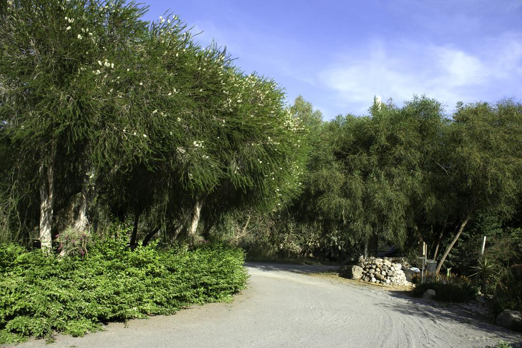 Il Vecchioliveto Di Ornella Bed and Breakfast Marrùbiu Εξωτερικό φωτογραφία