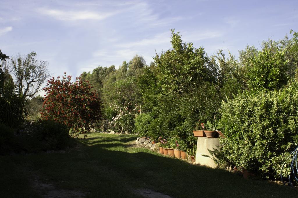 Il Vecchioliveto Di Ornella Bed and Breakfast Marrùbiu Εξωτερικό φωτογραφία