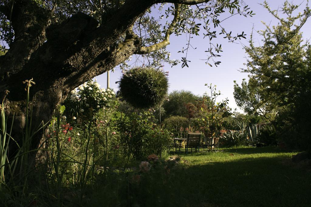 Il Vecchioliveto Di Ornella Bed and Breakfast Marrùbiu Εξωτερικό φωτογραφία