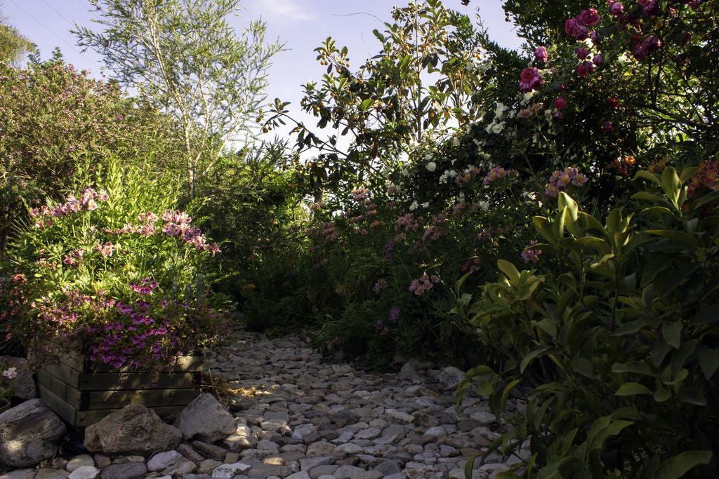 Il Vecchioliveto Di Ornella Bed and Breakfast Marrùbiu Εξωτερικό φωτογραφία